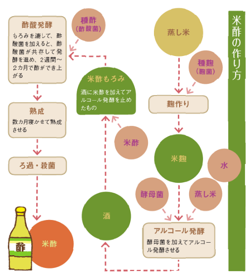 摘要於『発酵食品　食材＆使いこなし手帖』