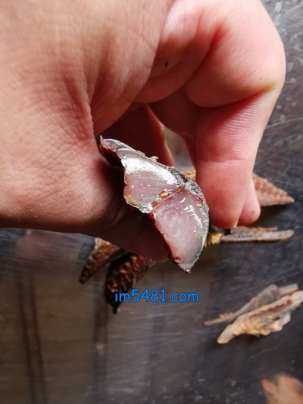 剖面硬的像是琉璃的鯖節,且柴魚香氣濃郁,且沒有像一般低級柴魚的鯖魚油臭味(鯖魚魚乾味)。
