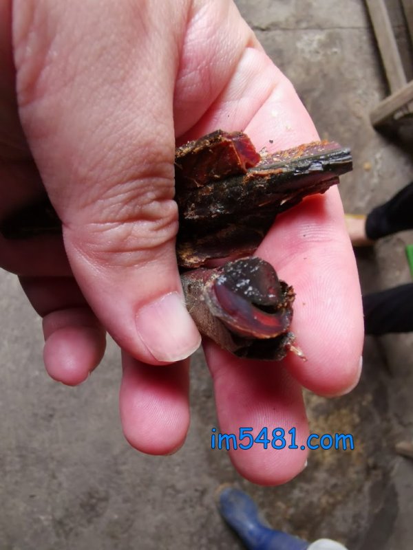 鰹節剖面也是硬的像是琉璃,入口鮮味十足!