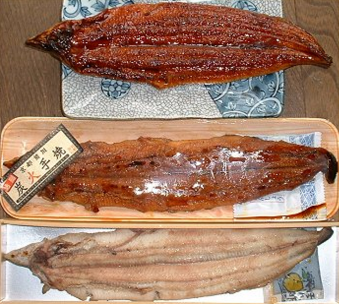 圖一 同樣都是養殖的鰻魚 一尾加工廠加工 一尾碳火燒烤