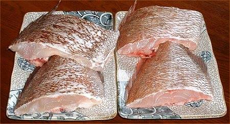 13393899_1033369666740591_7584956540320843401_n