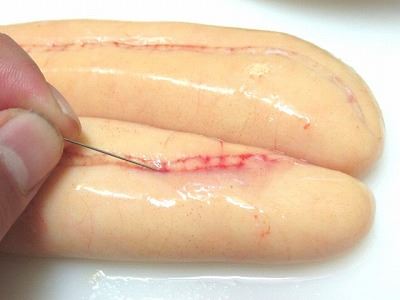 15095704_1149402071804016_4587353274467164431_n