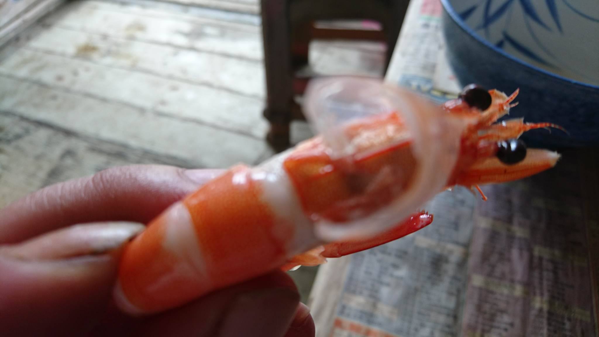 17901877_1488582464545254_574604737_o