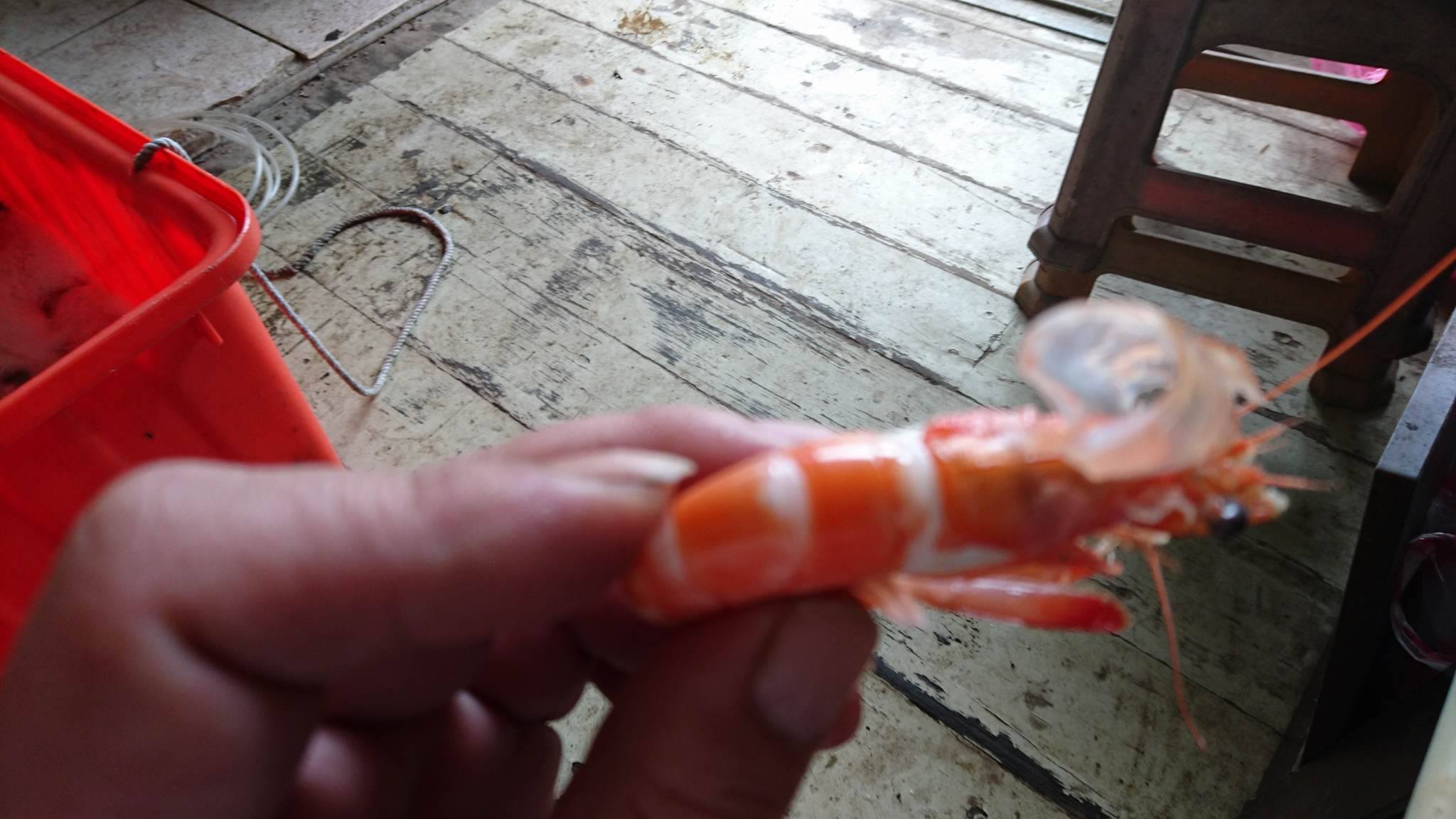 17901927_1488582501211917_904383546_o