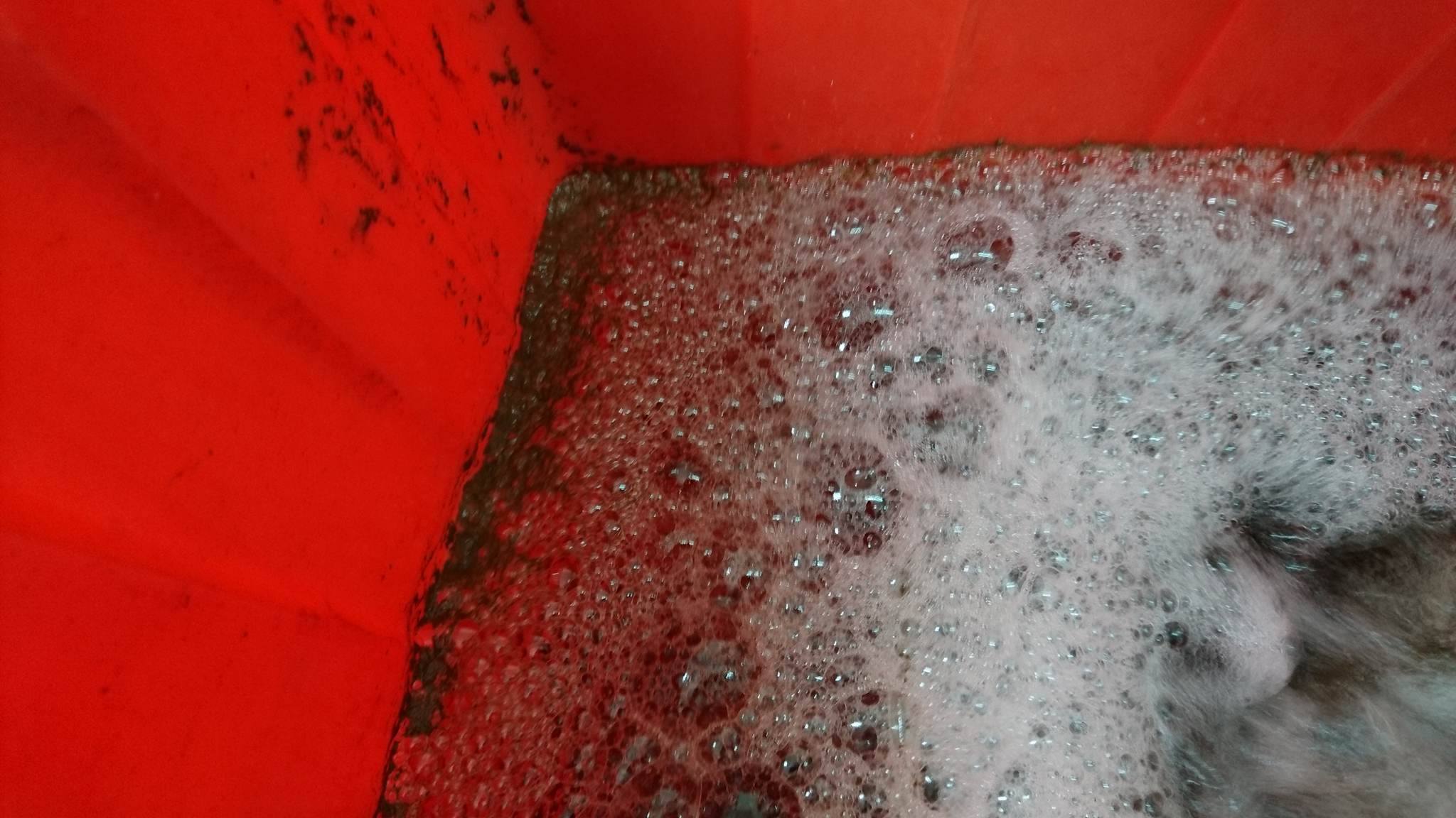 17901954_1488582604545240_3064893_o