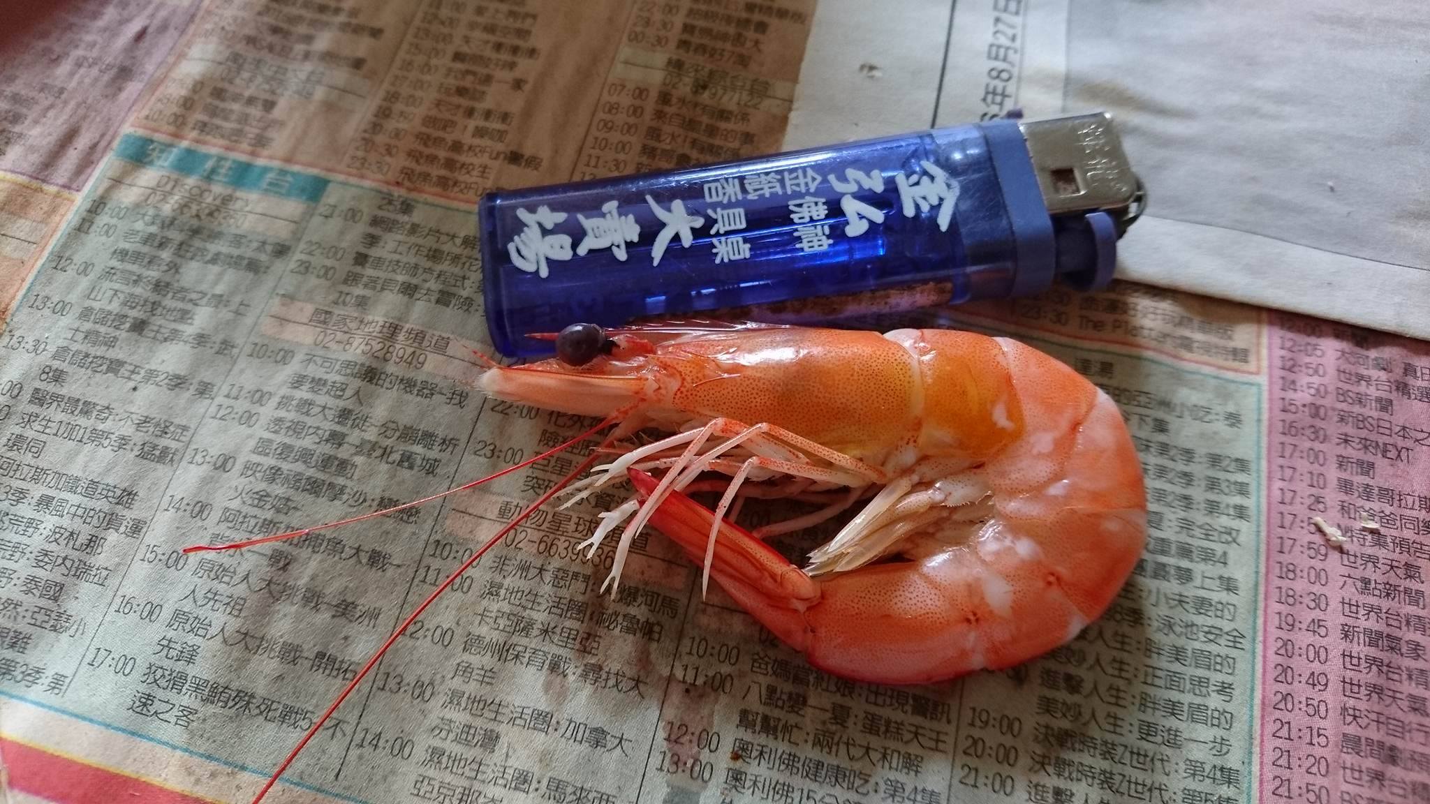 17916400_1488582541211913_606967830_o