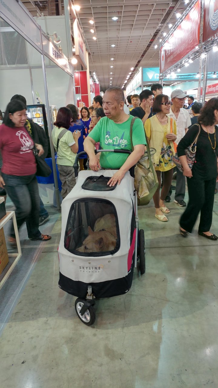 莫名的視障老人跟一隻狗