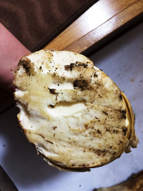 45f96932eb262a065f93be0518fce449