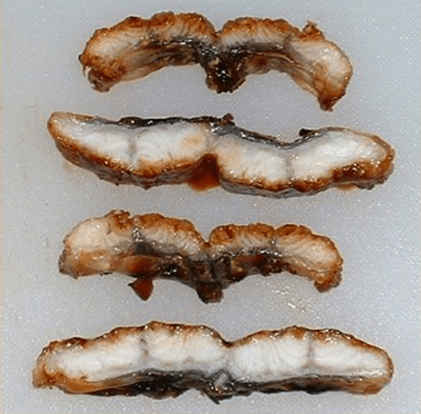 圖四 切開後 可看的出較小片的碳烤鰻魚醬汁都吸收進去了 而較大片的機械大量製成只有表面淋過的醬汁
