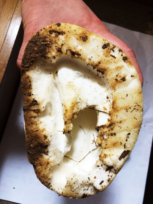 5697f66b748f99e9d11d801bbbe40957