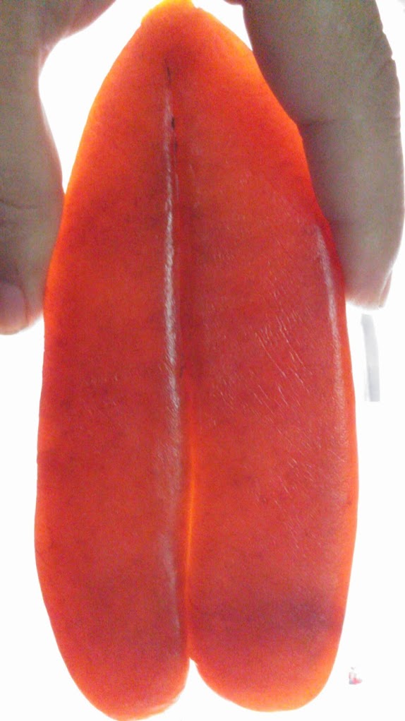 FB_IMG_1478851347065