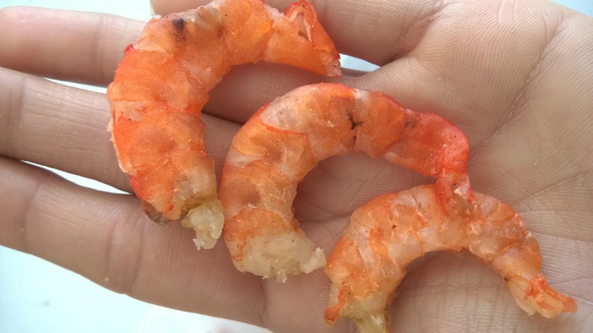 17390367_1208192842632186_8976603476076520177_o