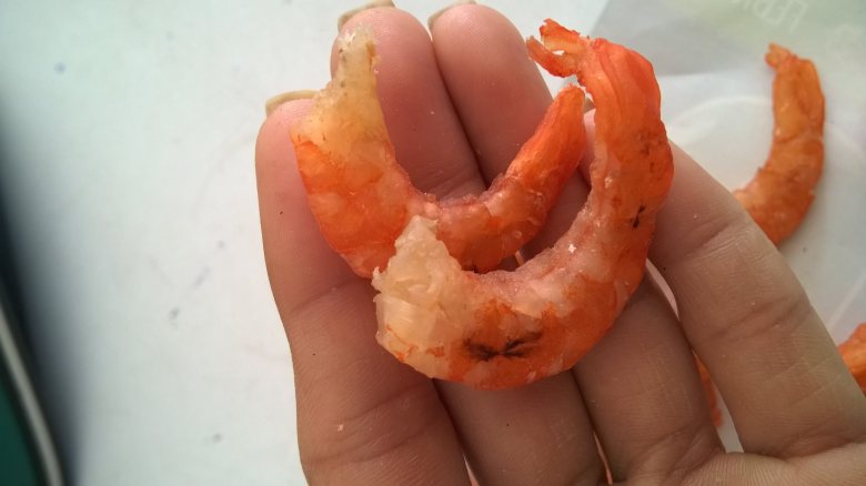 17390395_1208192929298844_1497823189736831519_o