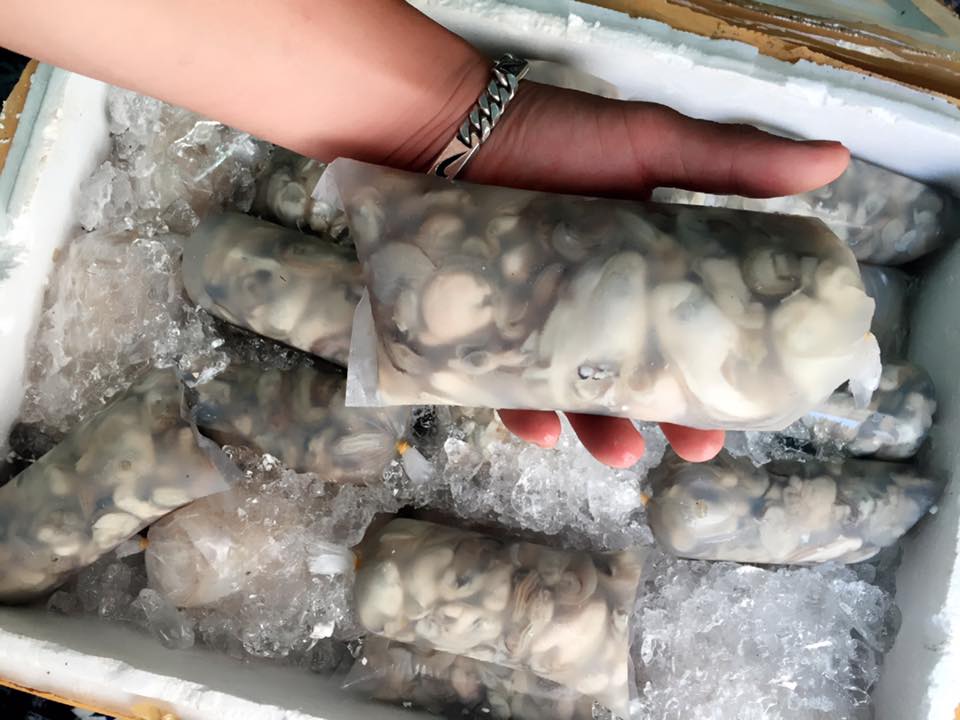 18447347_476162286062057_8528115070932931907_n