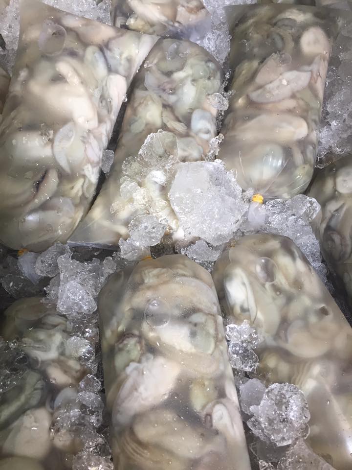 18556349_476674119344207_7597961015741323683_n