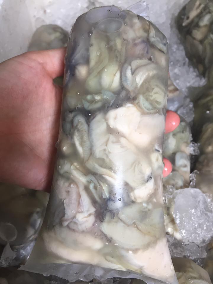 18620317_476674102677542_3807562187379508348_n