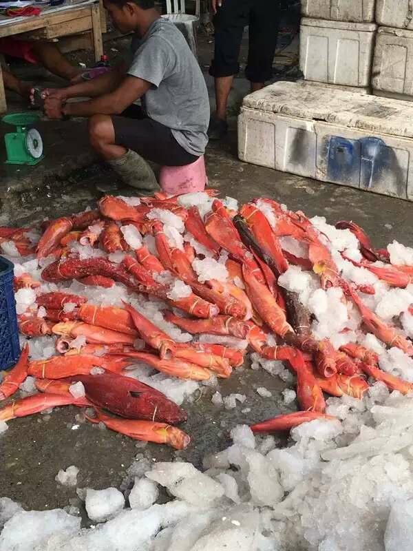 15027454_1353487881331040_175904084551290119_n