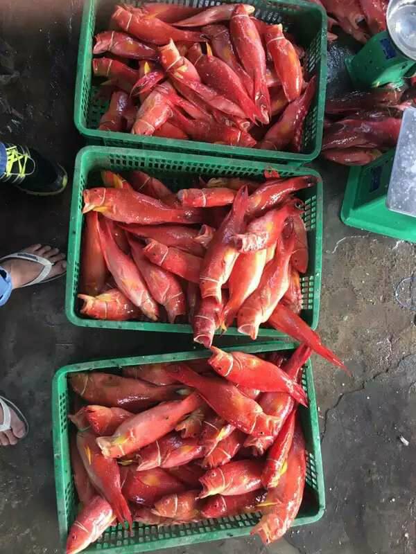 15032176_1353487924664369_8535640744366954479_n