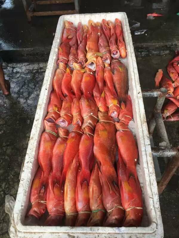 15085492_1353487954664366_8318011328682253570_n