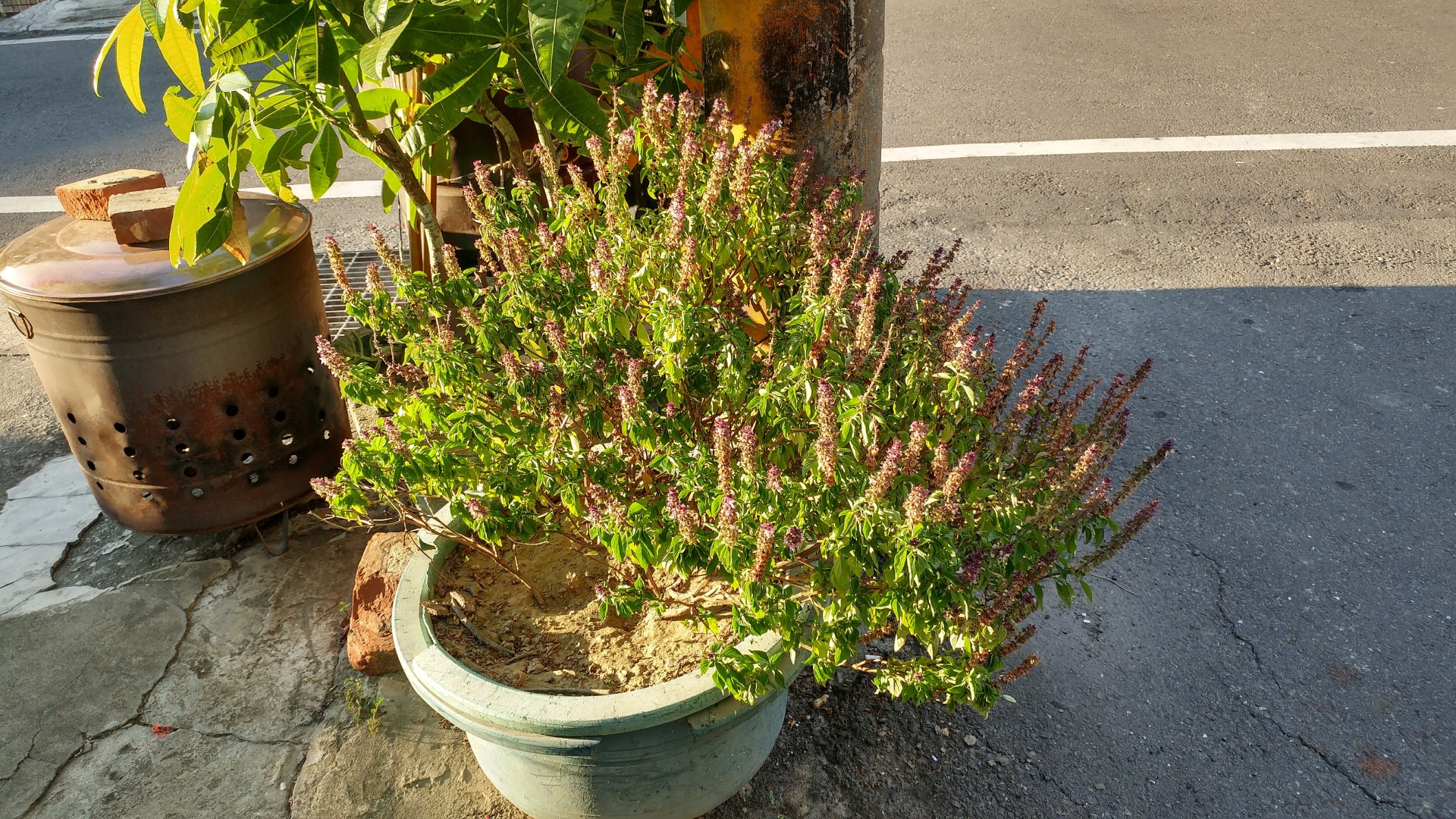 20170819_172808_HDR