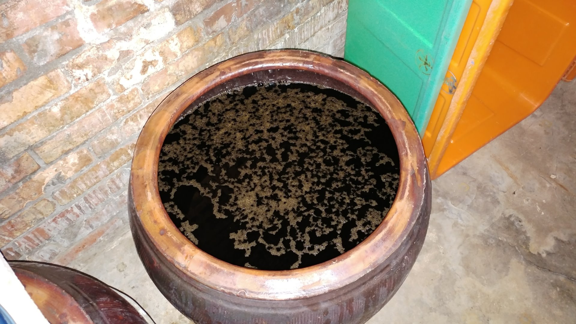 已經做好的魚露