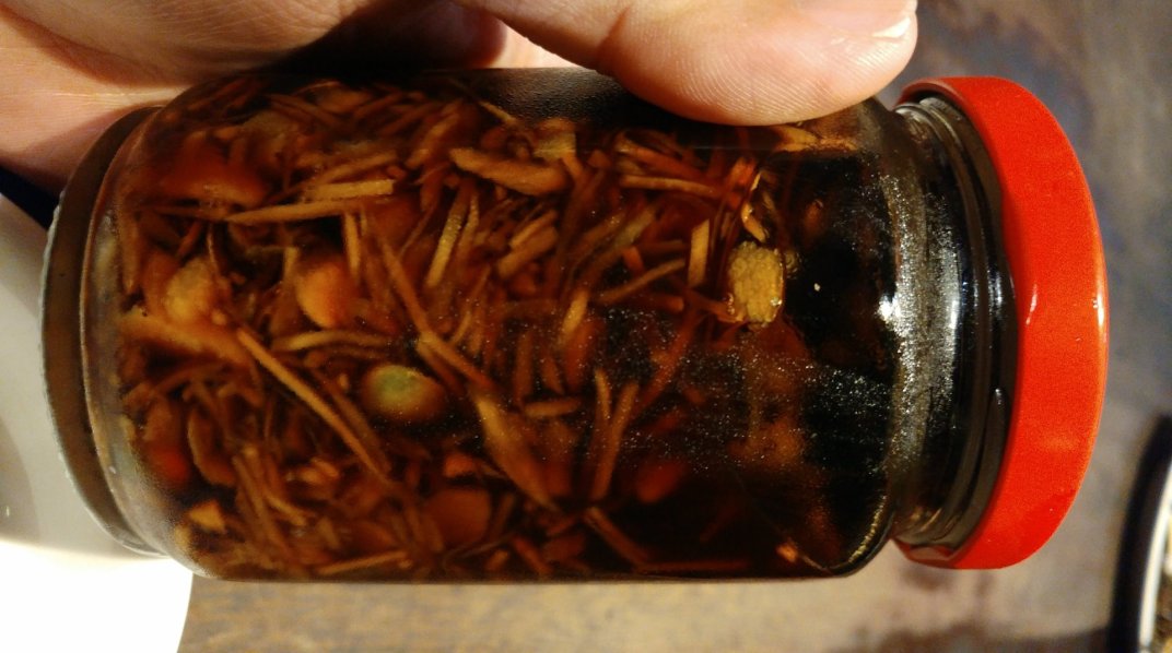 布袋港的珠螺膎