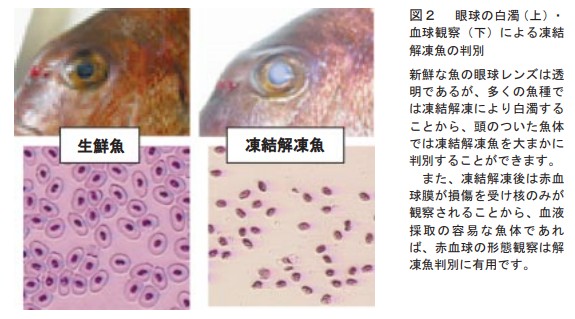 近紅外線分析生鮮魚跟冷凍魚