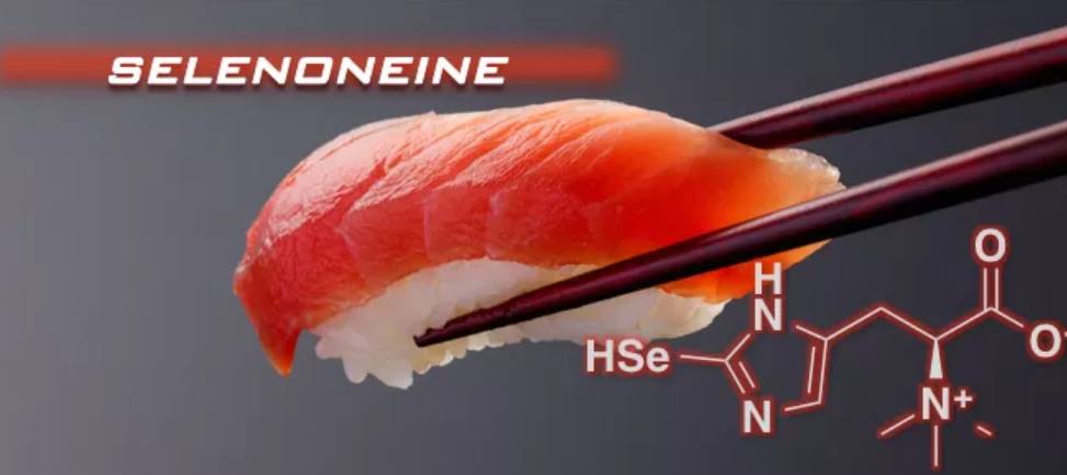 27710032_1586239888120230_5248506777961565828_o