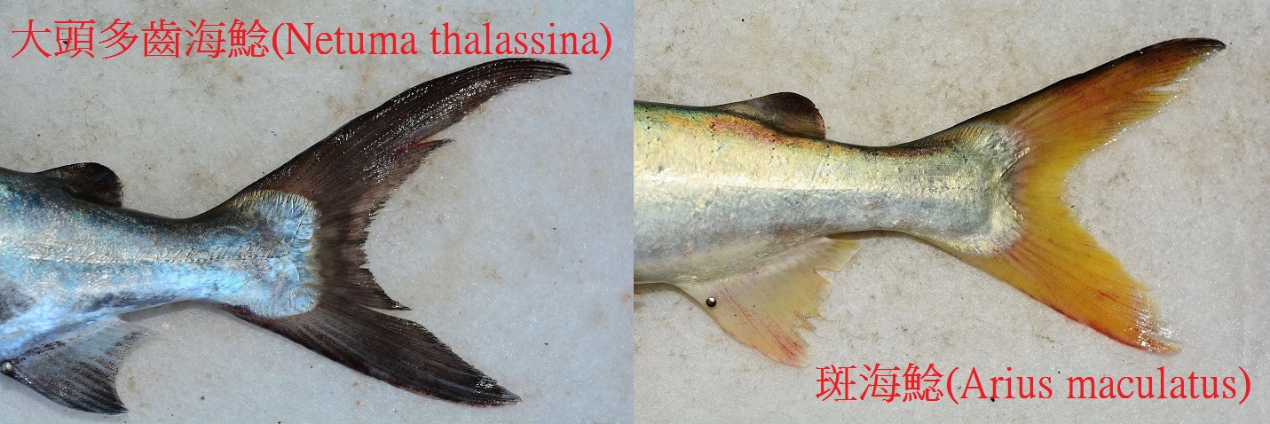 30710624_10211716007831591_1749482334488363008_o