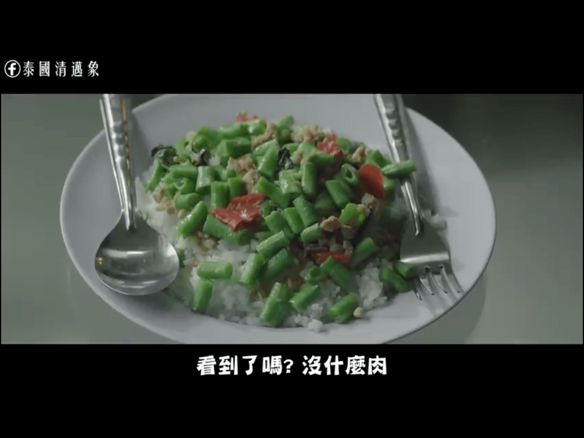 打拋豬的截圖來自於泰國清邁象