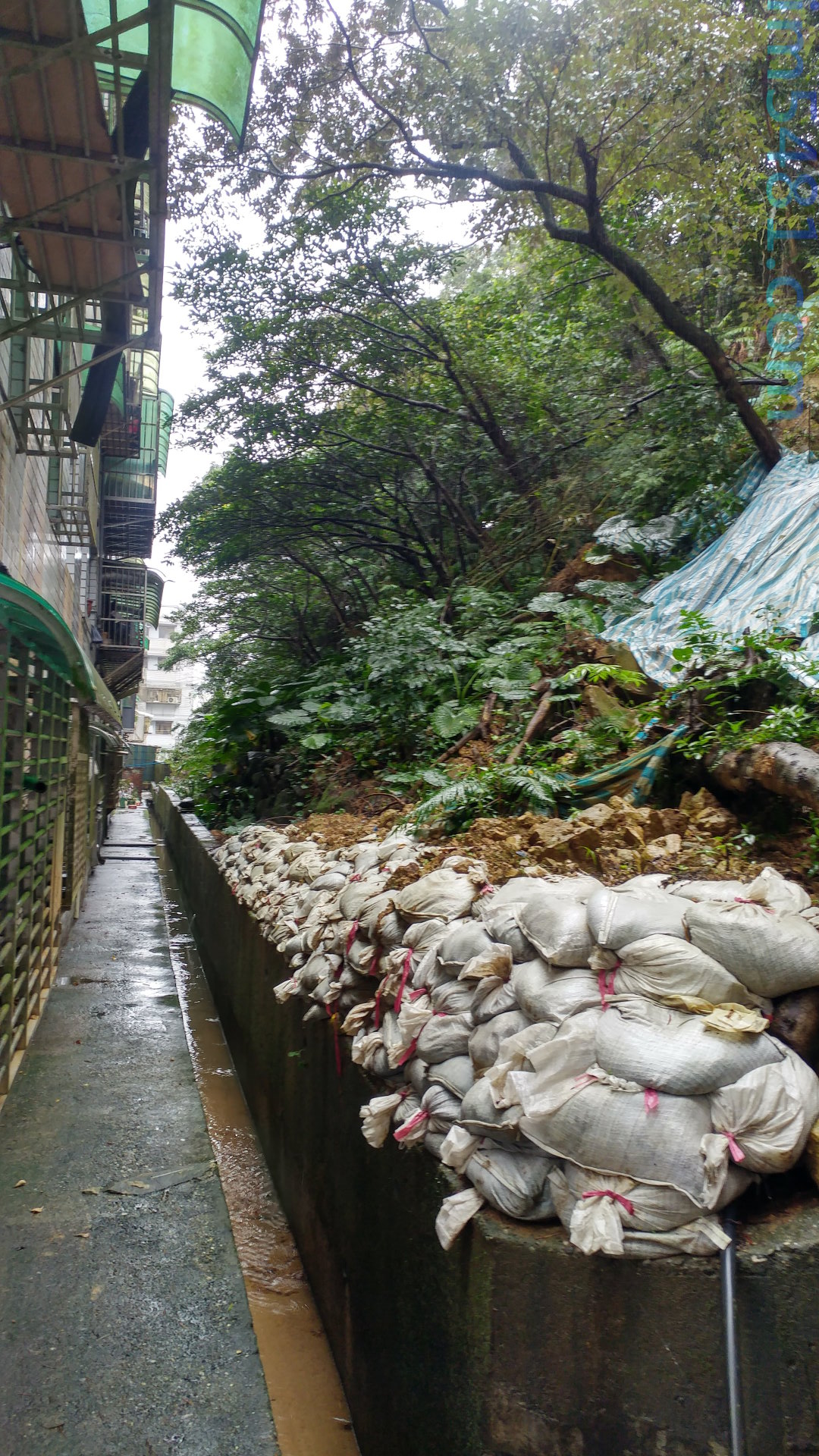 基隆看房子: 順向坡跟土石流– im5481