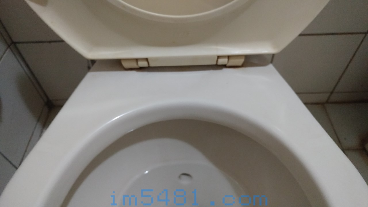 檸檬酸除馬桶尿垢