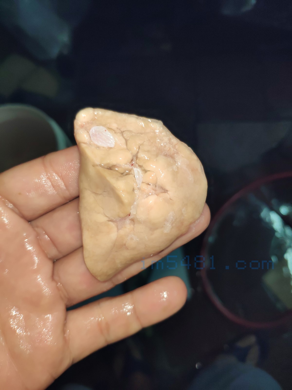 檸檬加州鱸魚的魚肝，能把加州鱸魚的肝養這麼肥，且有檸檬香味，這就是我哥研發的技術。