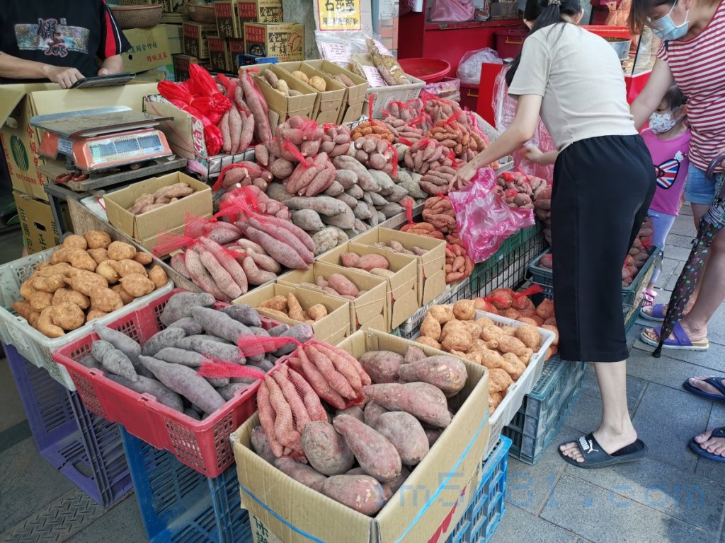 金山老街販賣的甘藷