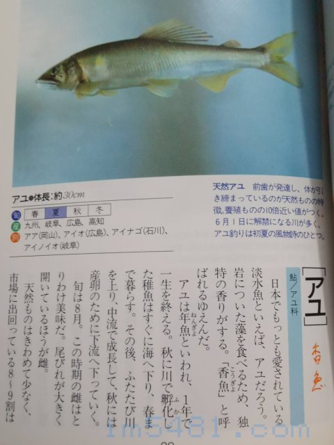 魚の目利食通事典(講談社)-香魚