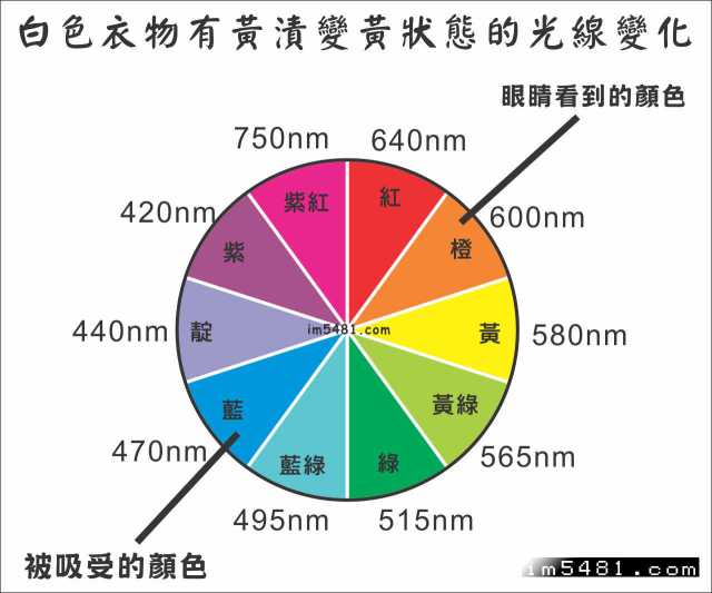 眼睛所看到的泛黃衣物纖維顏色與實際被吸收的顏色光