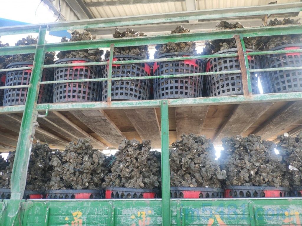 台灣送蚵車-冷鏈物流何時會升級?