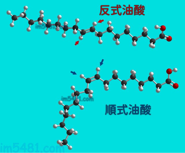 順式油酸跟反式油酸的結構比較